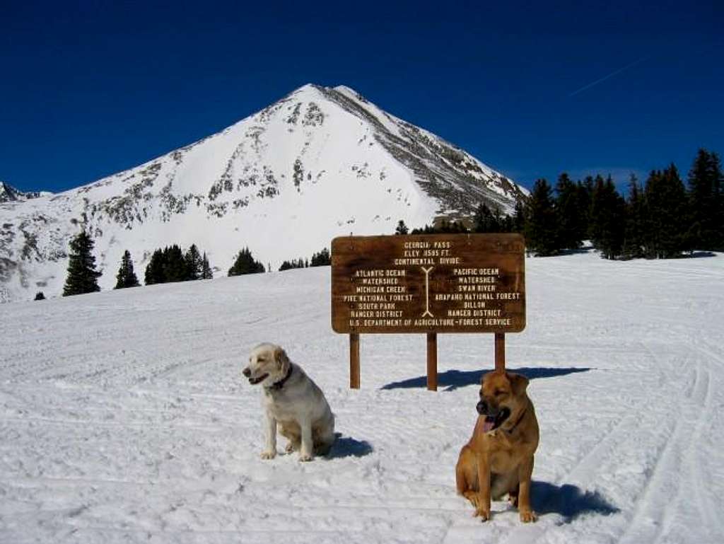 My dogs at the sign that...