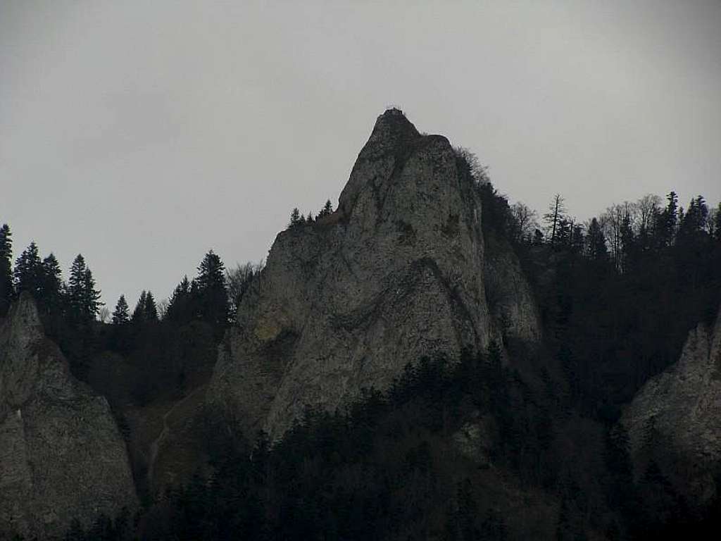 Highest rock in Trzy Korony