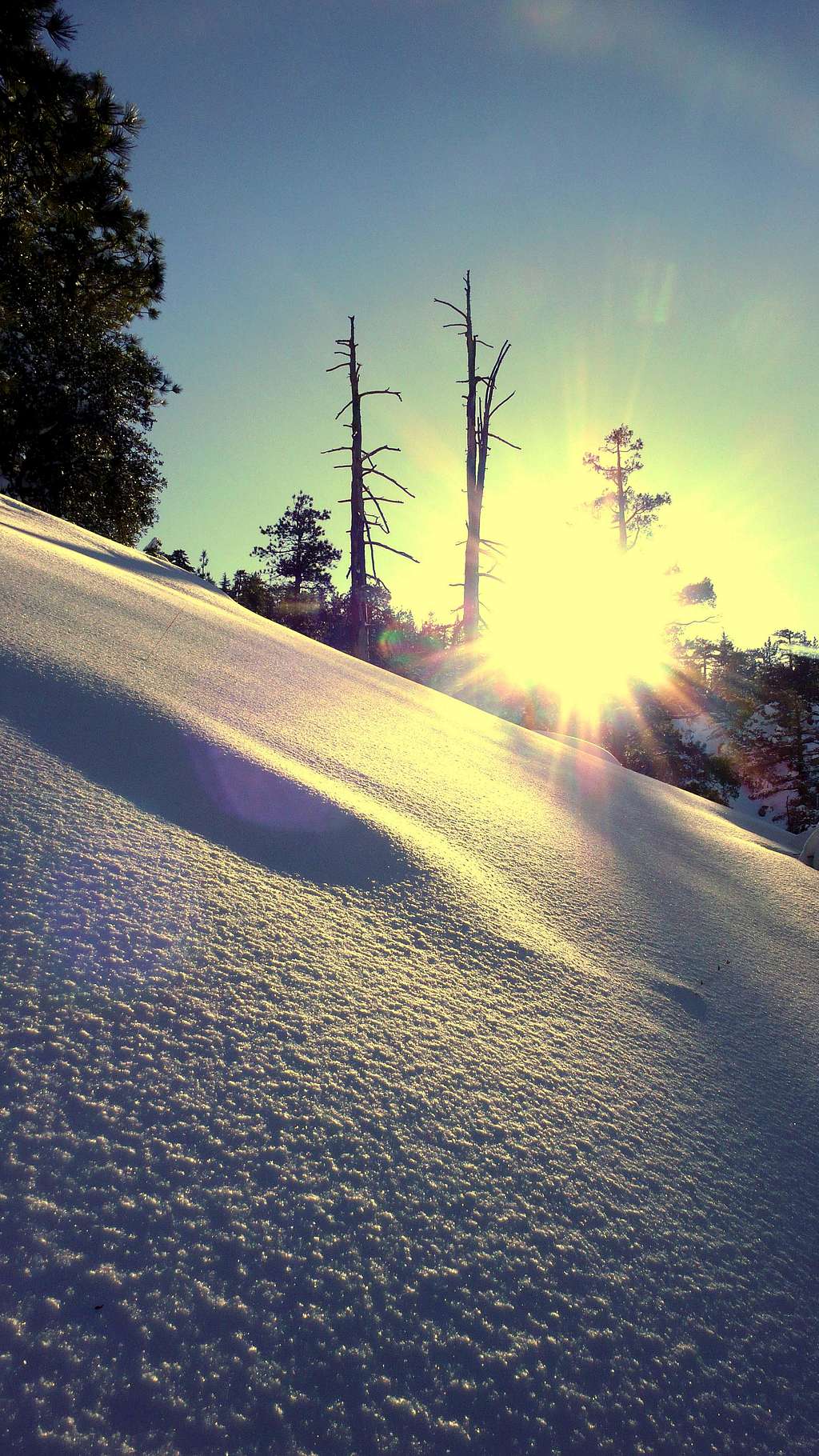 snow and sun action