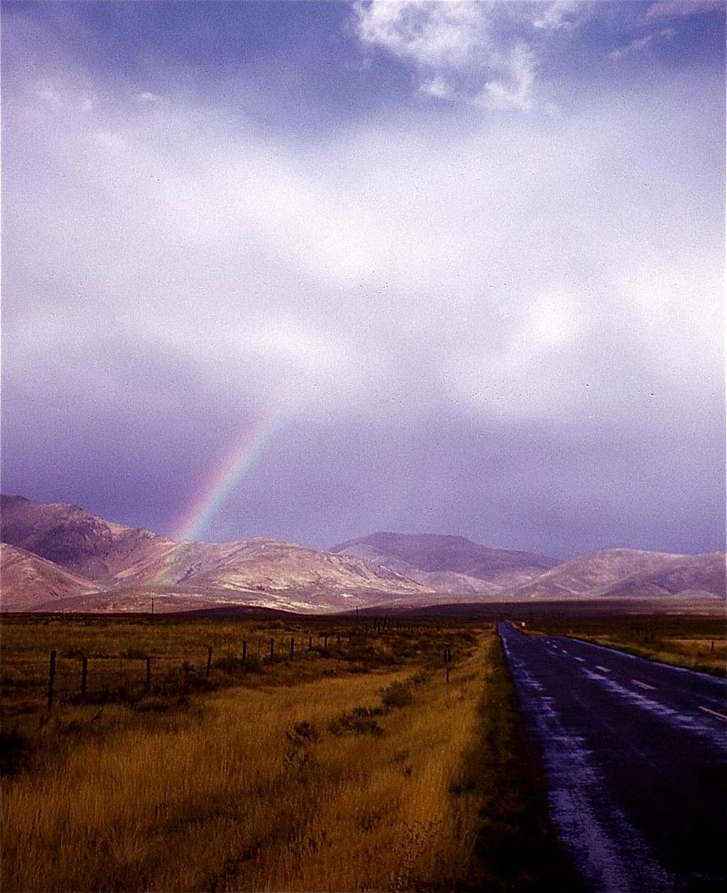 Idaho Rainbow