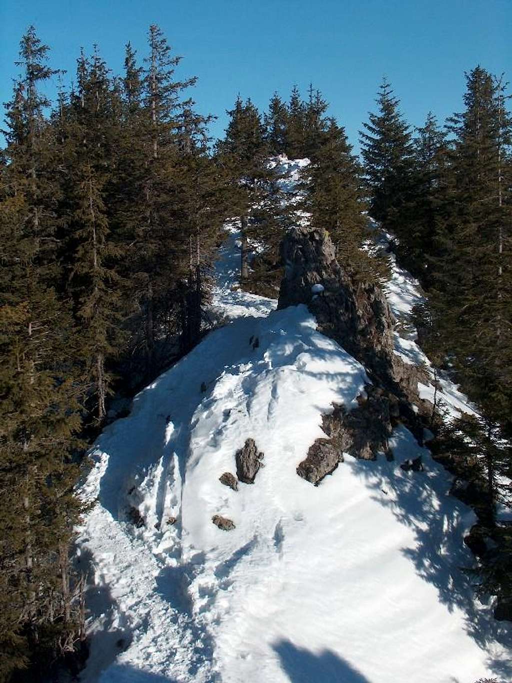 The small  rocky top of Gęsia Szyja