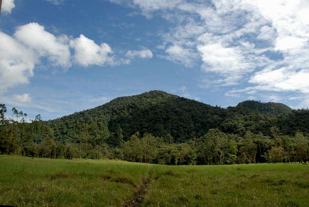 Cerro Chato
