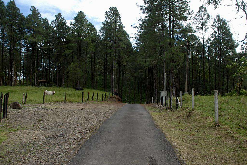 Road leading to the trailhead