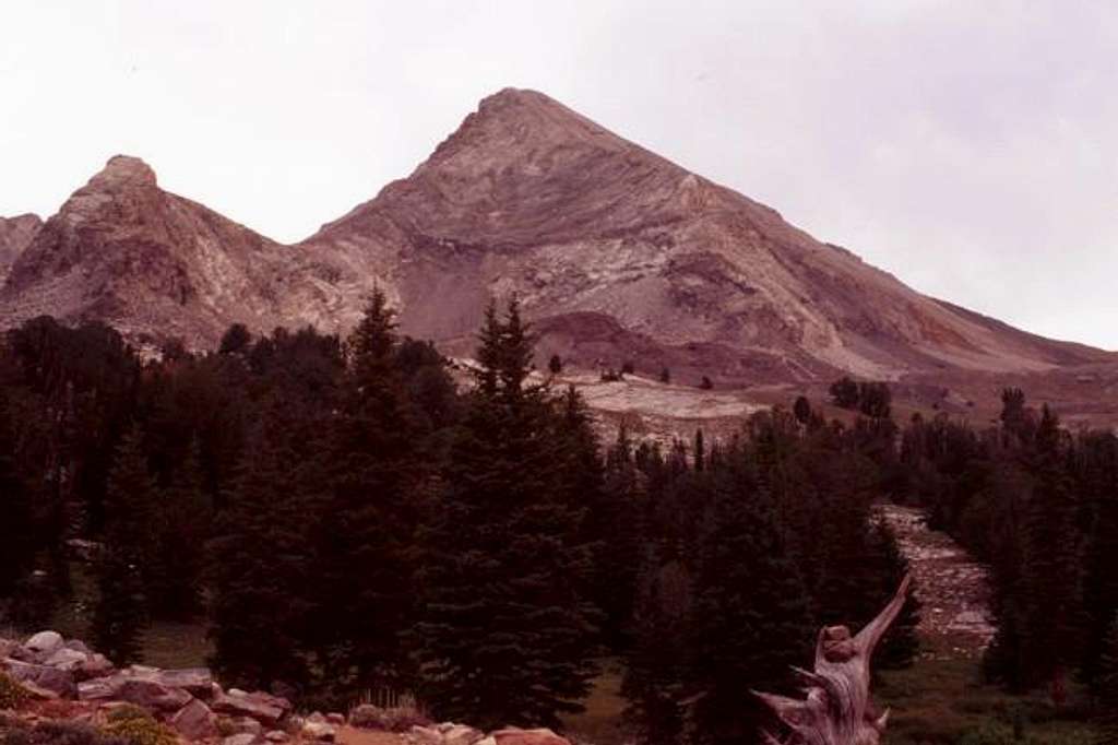 Hydman Peak from Hyndman...