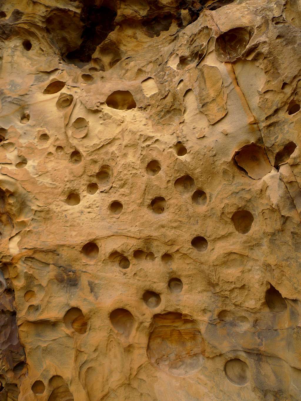 Holes in the cliff