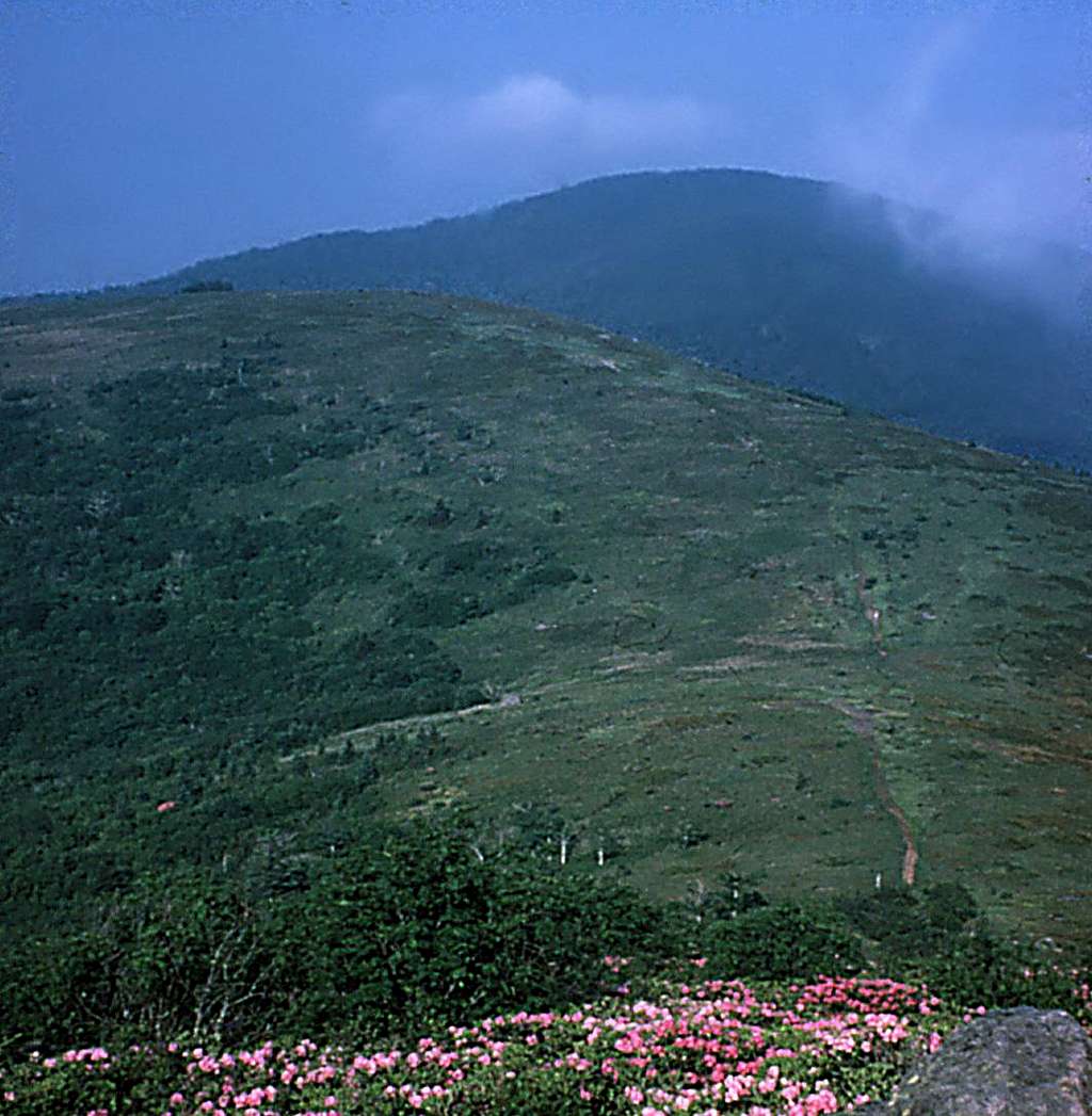 Roan Highlands, NC