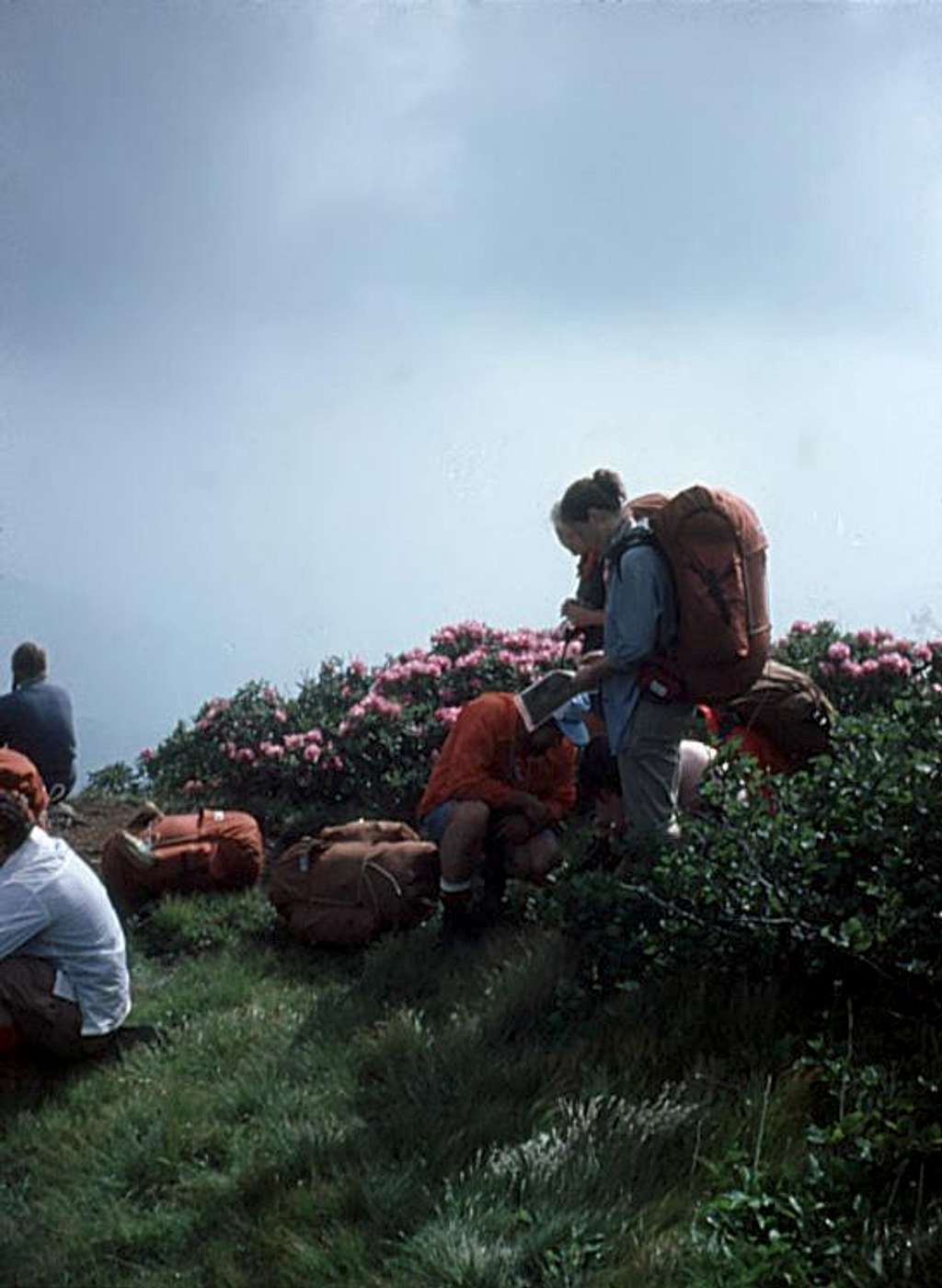 Roan Highlands, NC