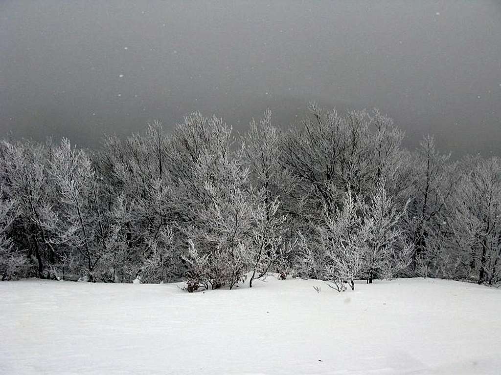 Winter on Snježnik mountain