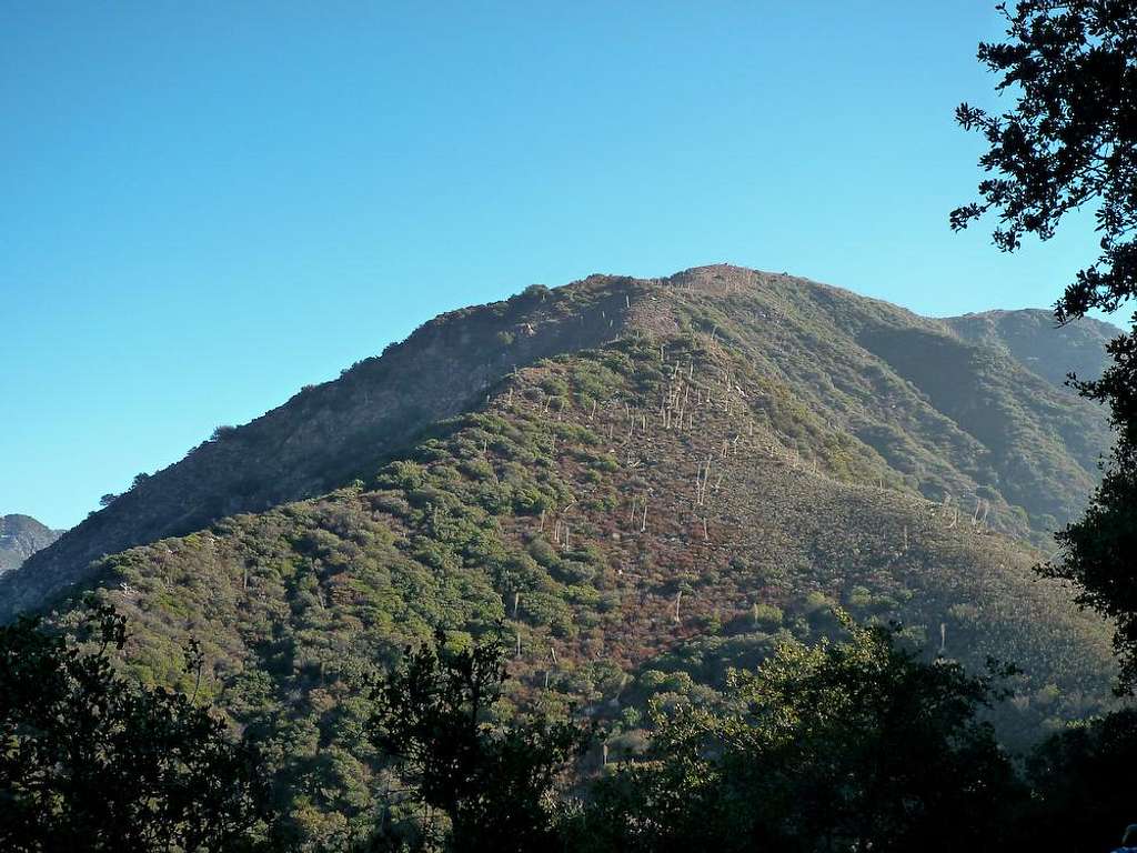 Brown Mountain West Ridge