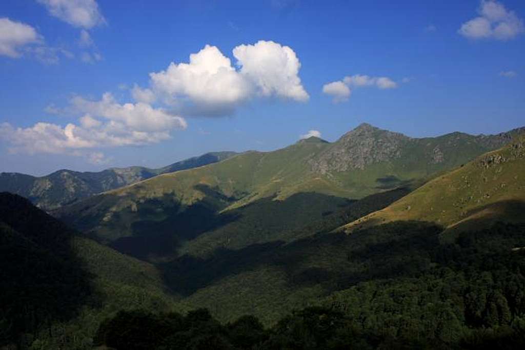 View of the Central Balkan National Park above the treeline