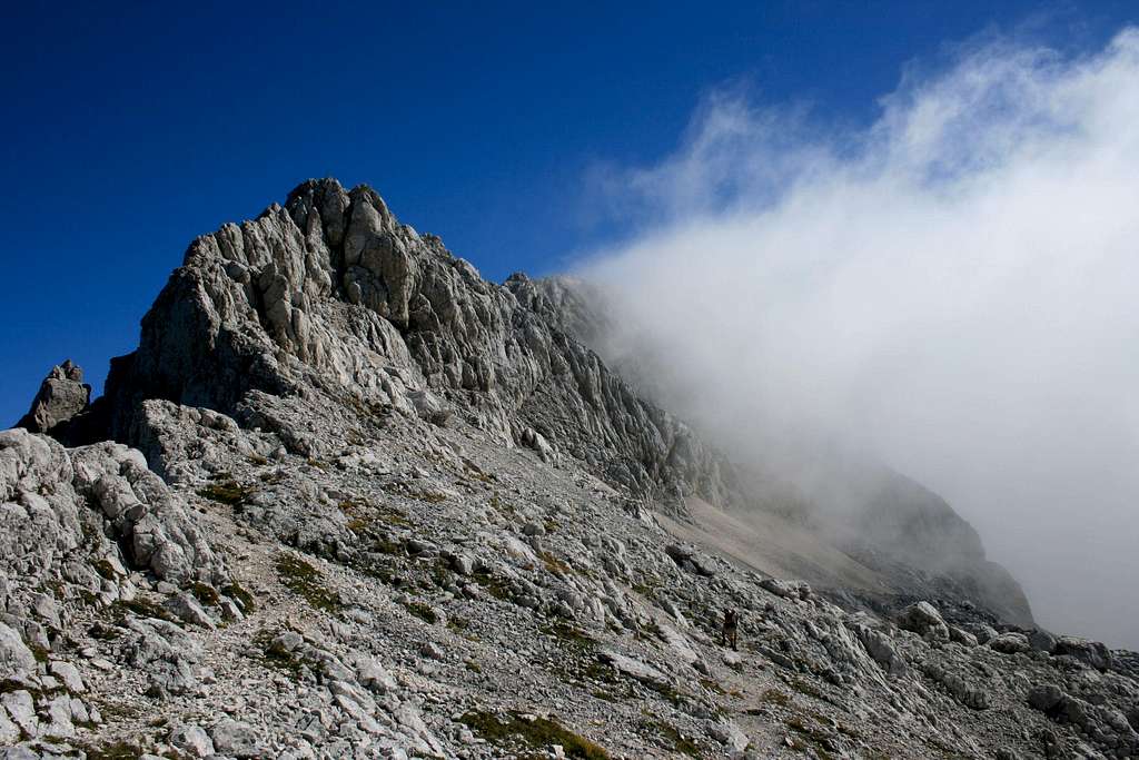 Steiner Alps