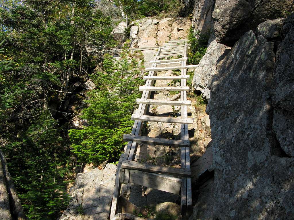 the ladders on the Hi-Cannon trail
