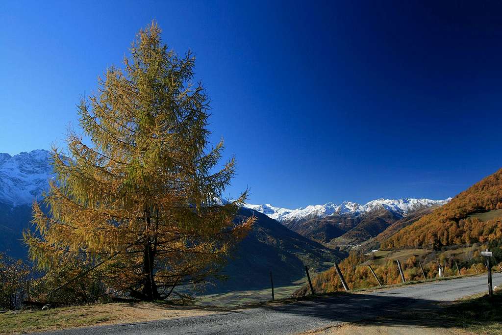 road above the Vinschgau