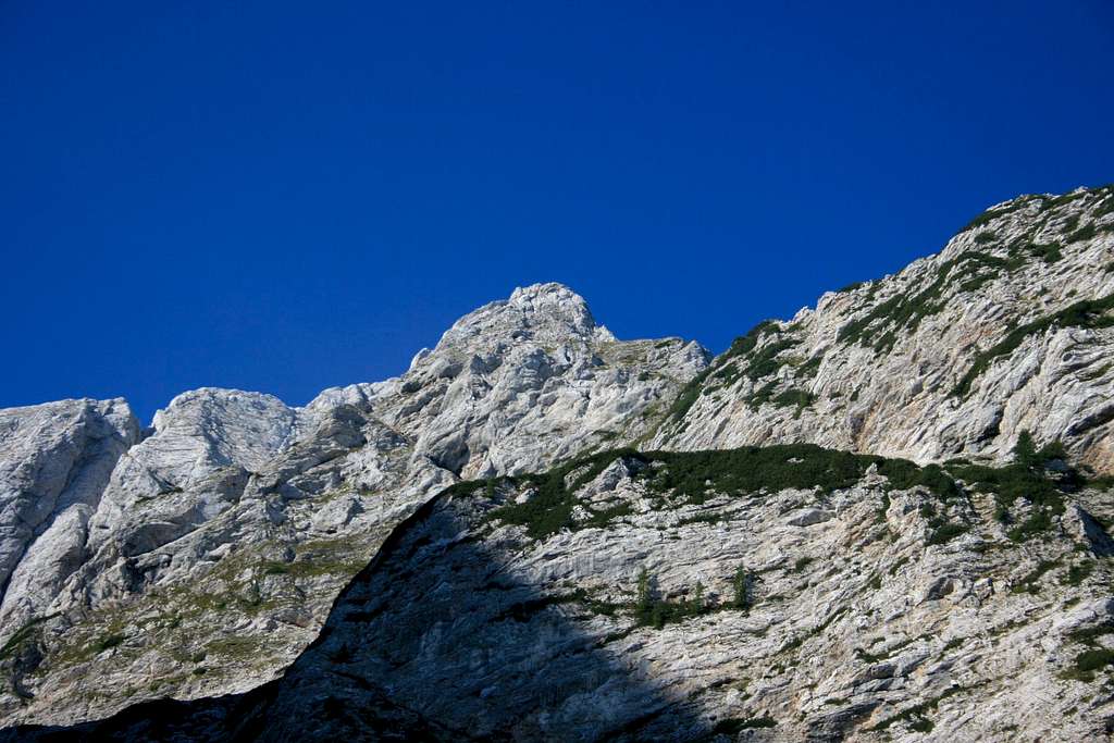 Steiner Alps