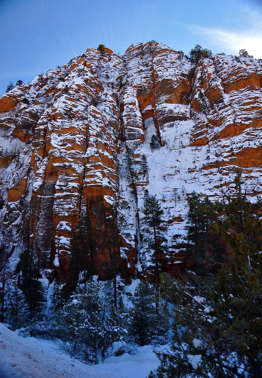 Red Cliffs of Utah