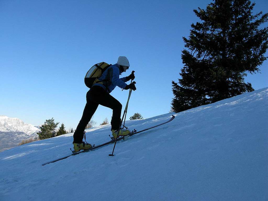 Ski mountaineering