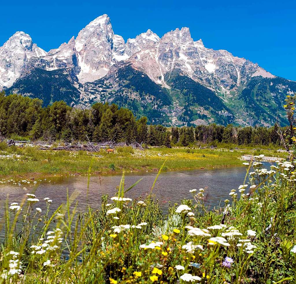 Teton National Park