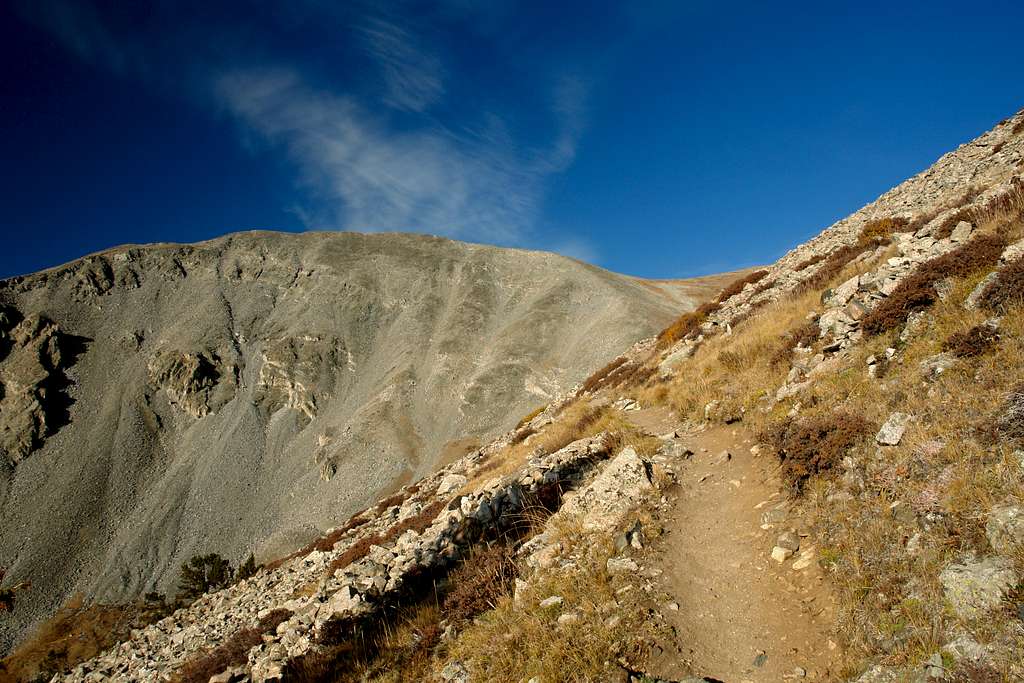 Mount Shavano Trail