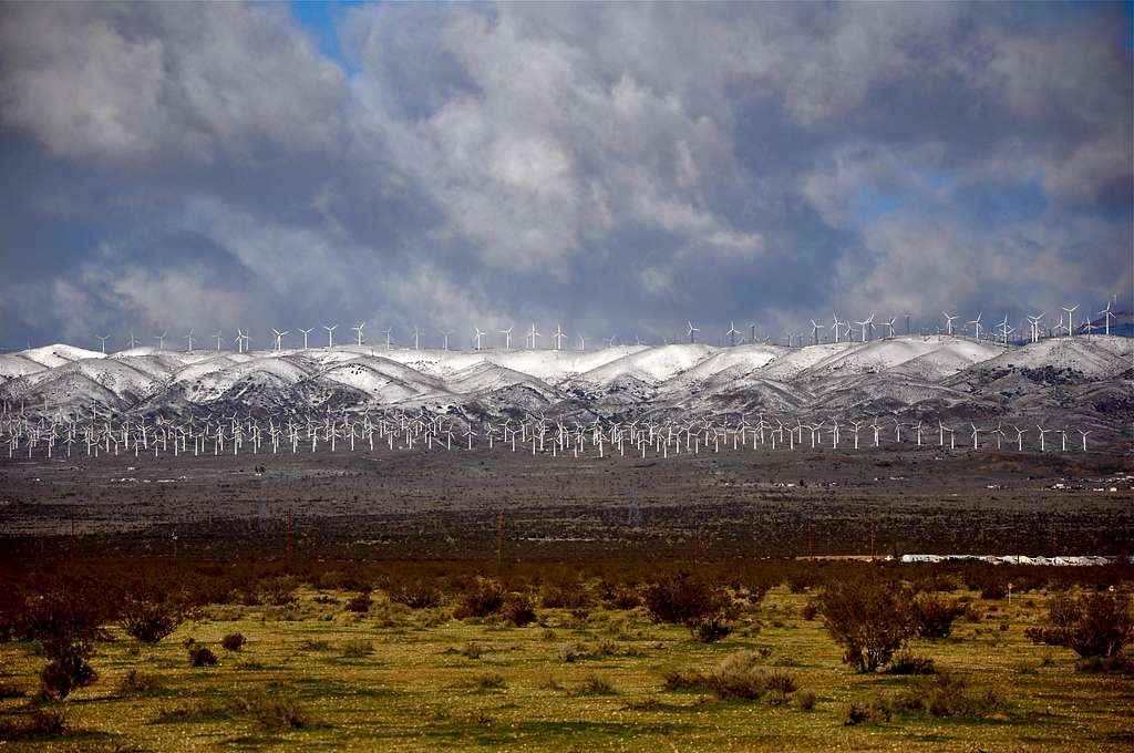 California wind farm
