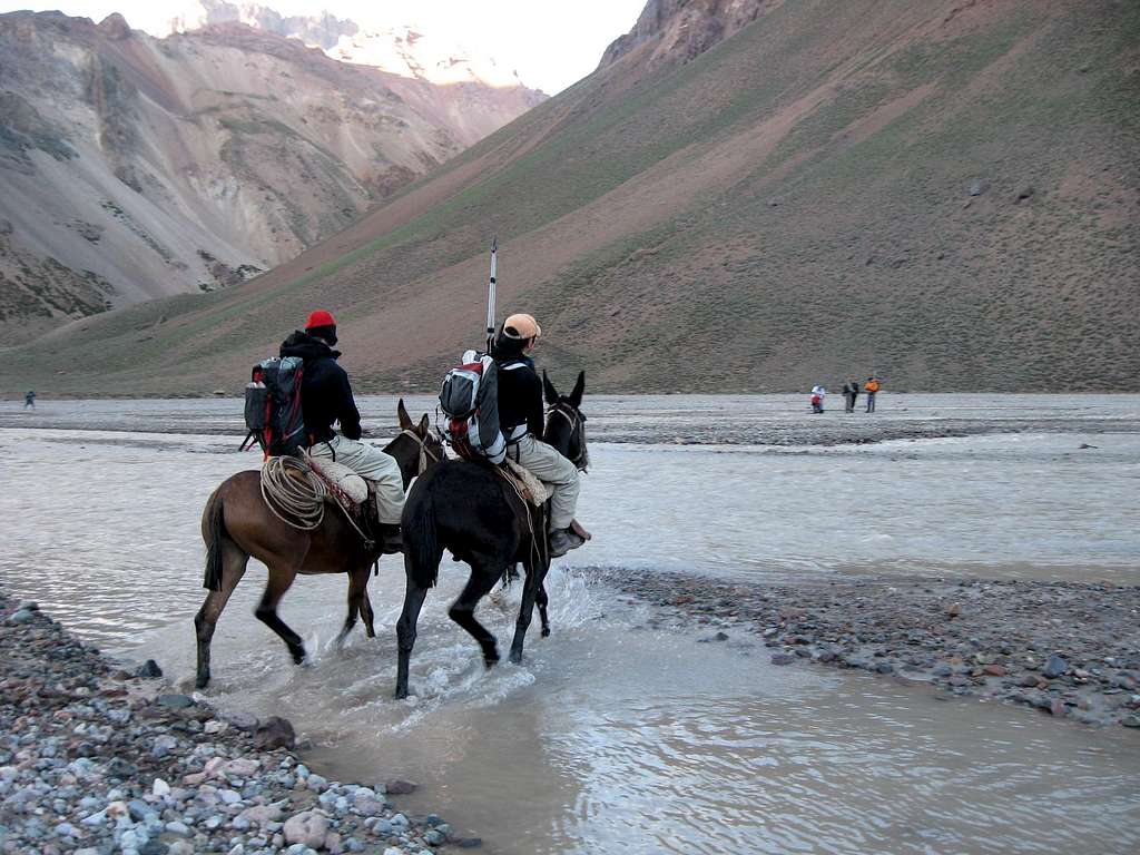 Mule Rides Across the Rio Vacas