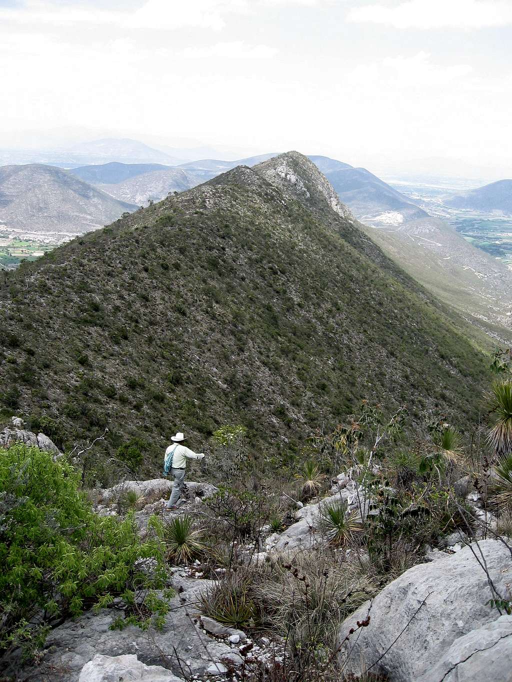 Cerro Cebadero summit view East