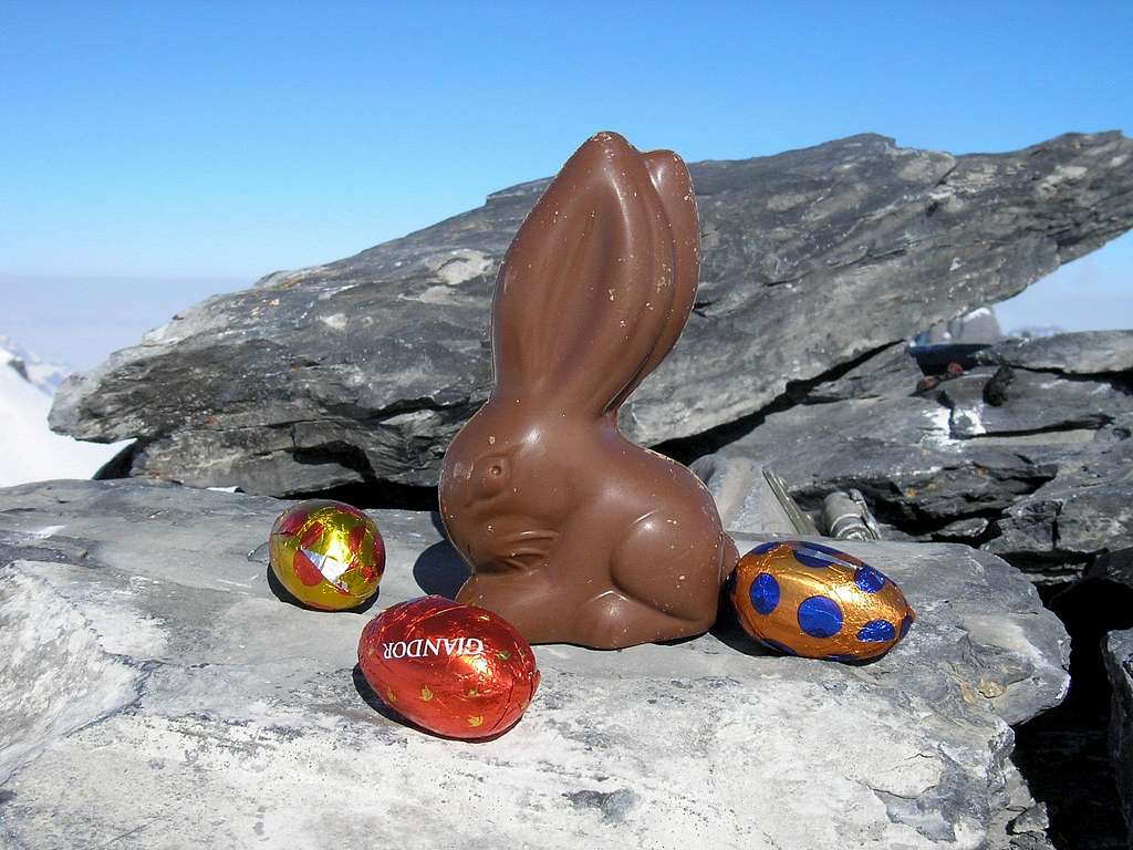 Easter bunny on the Zwächten