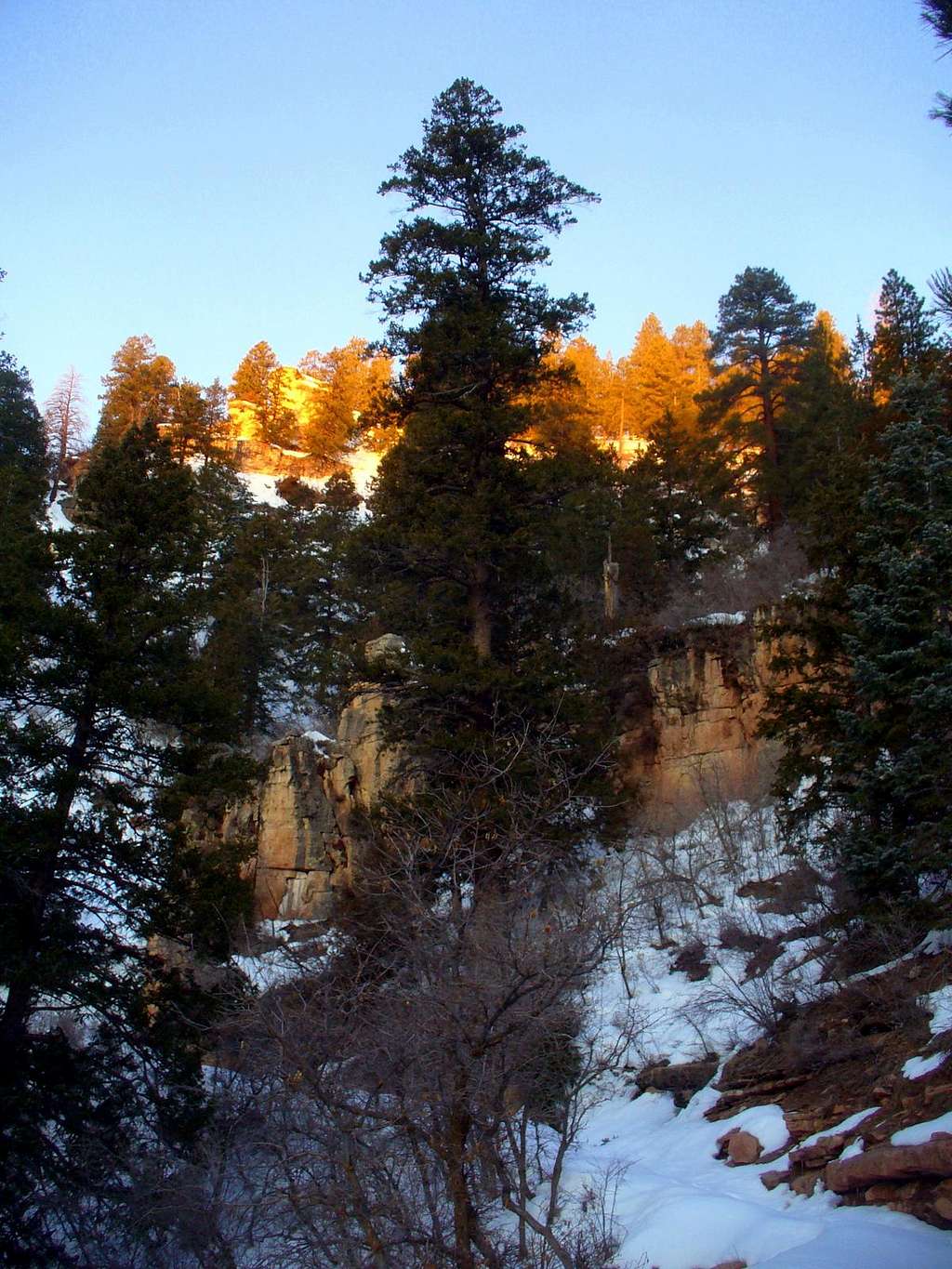 First rays of wintry dawn on N Kaibab