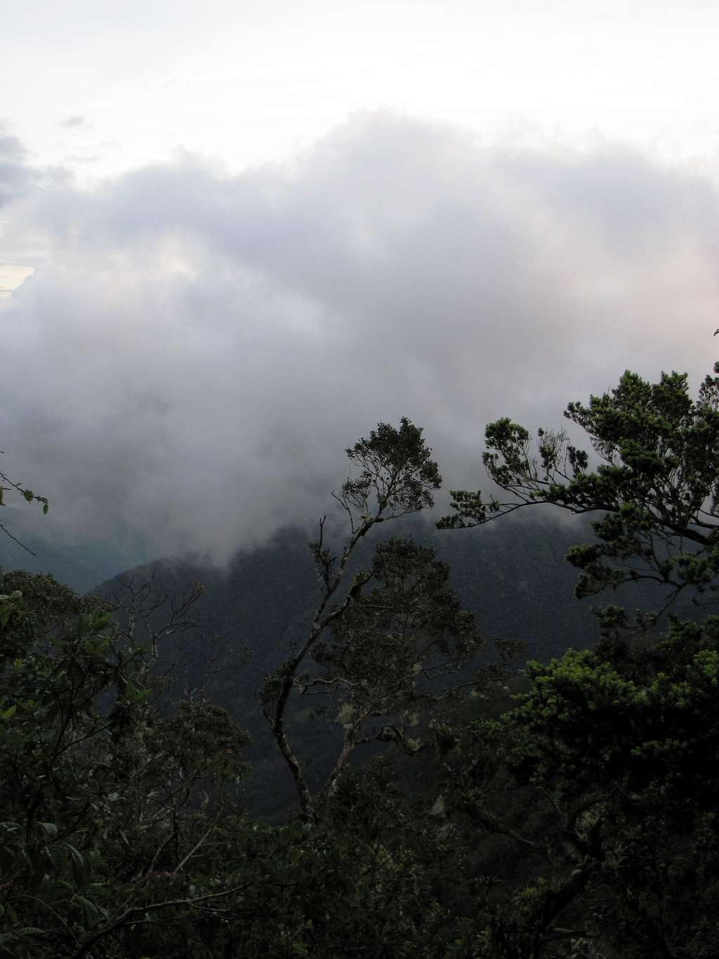 The Cloudy Blue Mountains, Jamaica