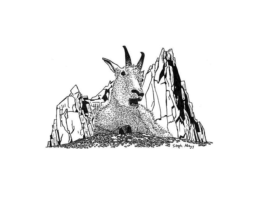 Drawing of Mountain Goat and Prusik Peak, Enchantments, WA