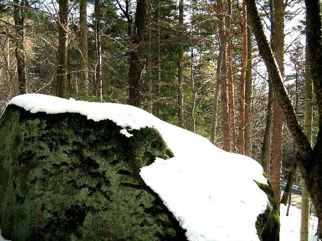 Winter in the Nature Preserve