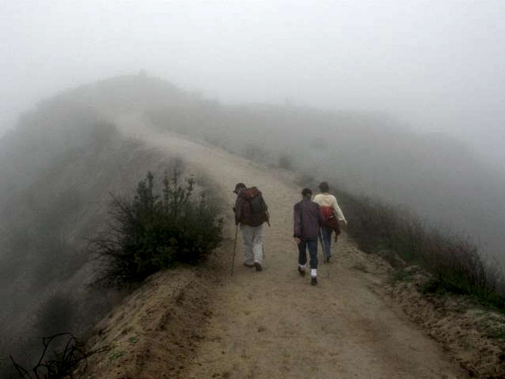 Backbone Trail in the fog