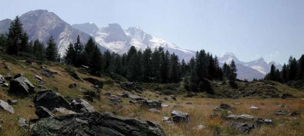 View towards the Gran Paradiso range from the neighbourhood of Orvieille <i>2190m</i>