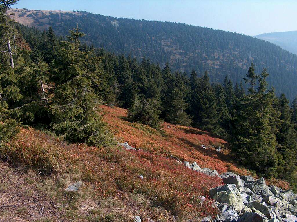 On the way to Śnieżnik, on the main ridge