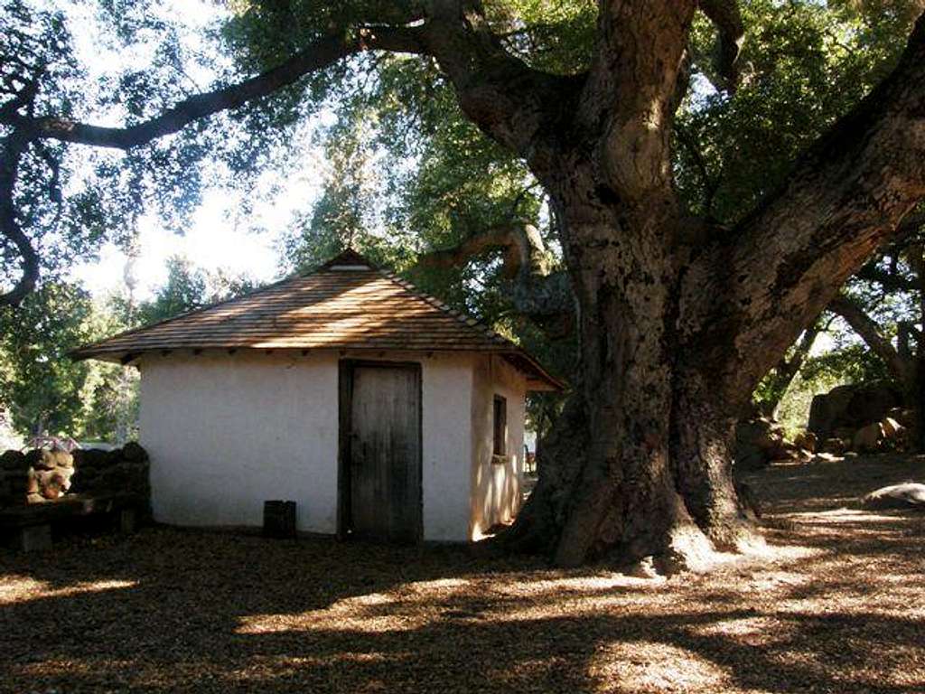 Adobe and Ancient Oak