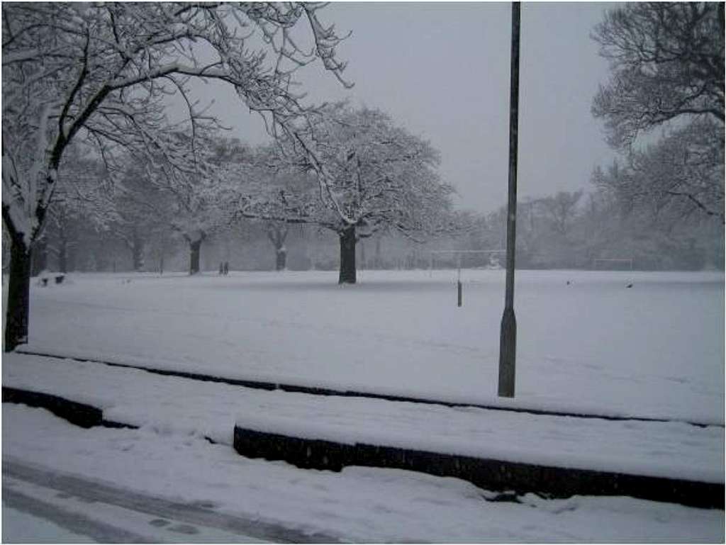 Snow in London Jan 2009