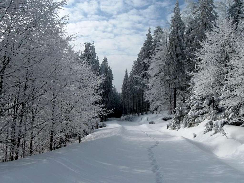 Babia Gora foothill-Slovak side