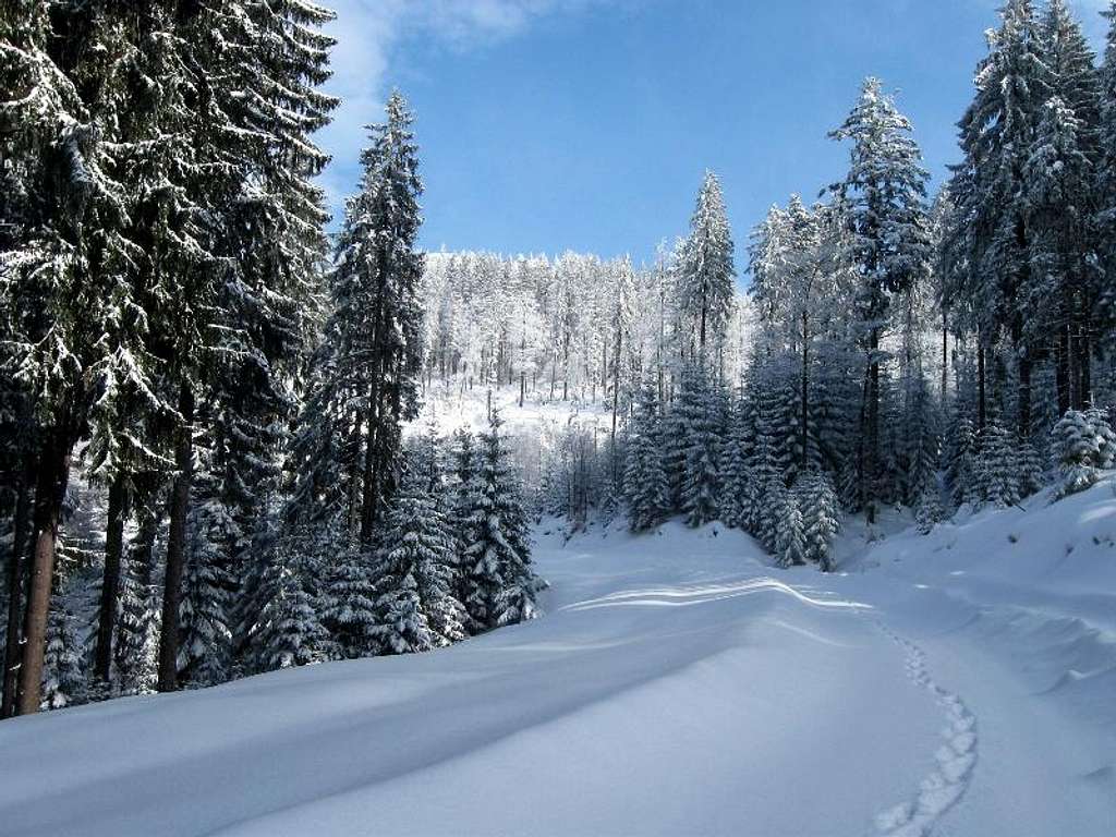 Babia Gora foothill-Slovak side