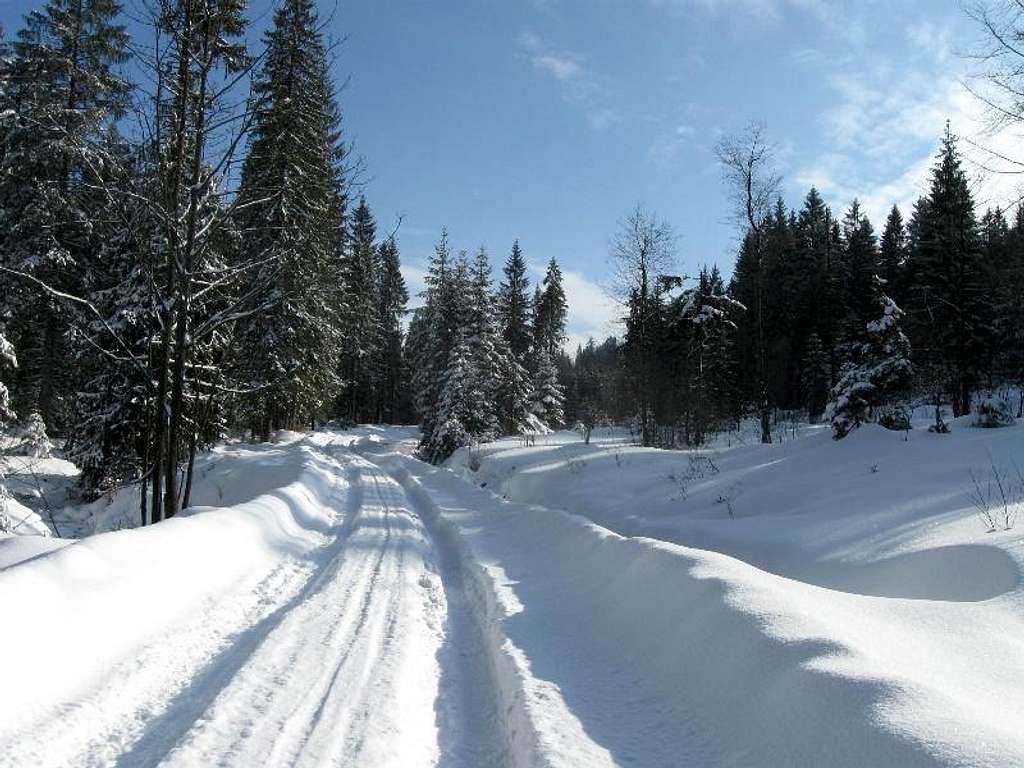 Babia Gora foothill-Slovak side