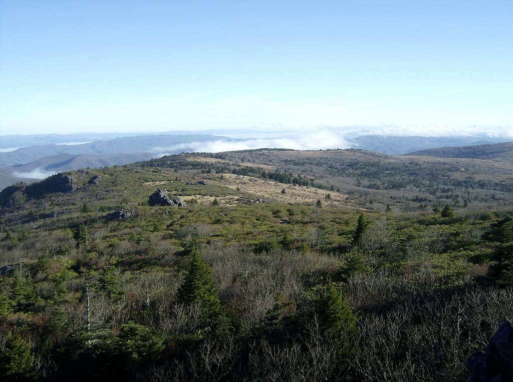 Wilburn Ridge View