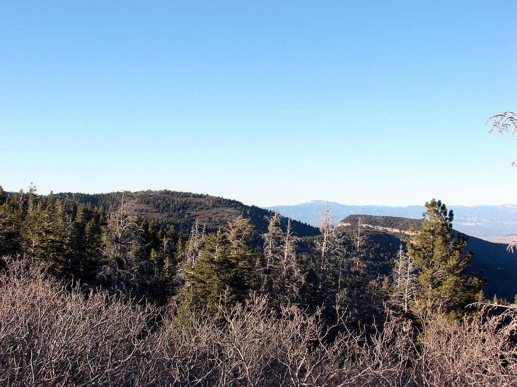 Capulin and Palomas