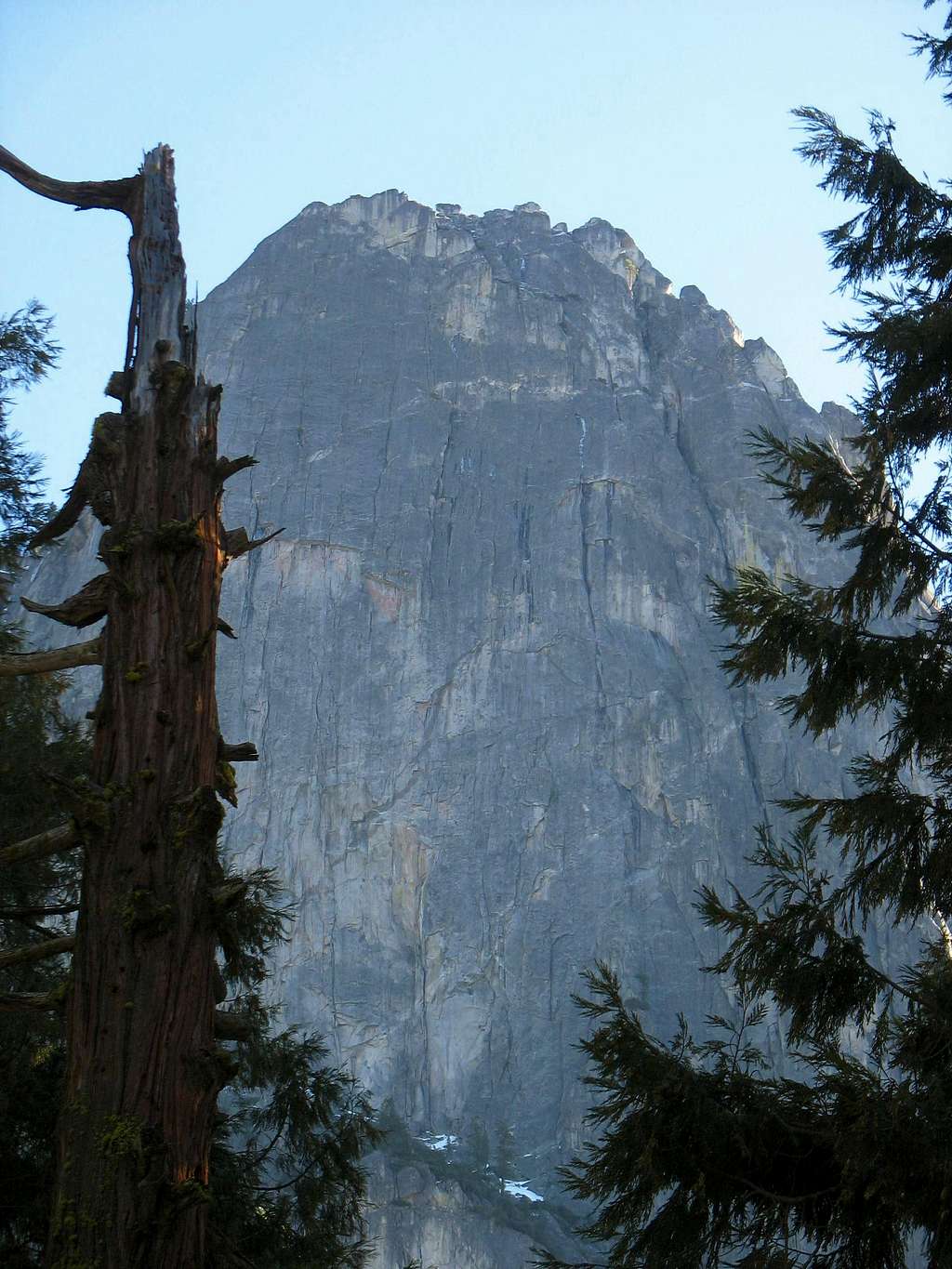 Sentinel Rock through the trees : Photos, Diagrams & Topos : SummitPost