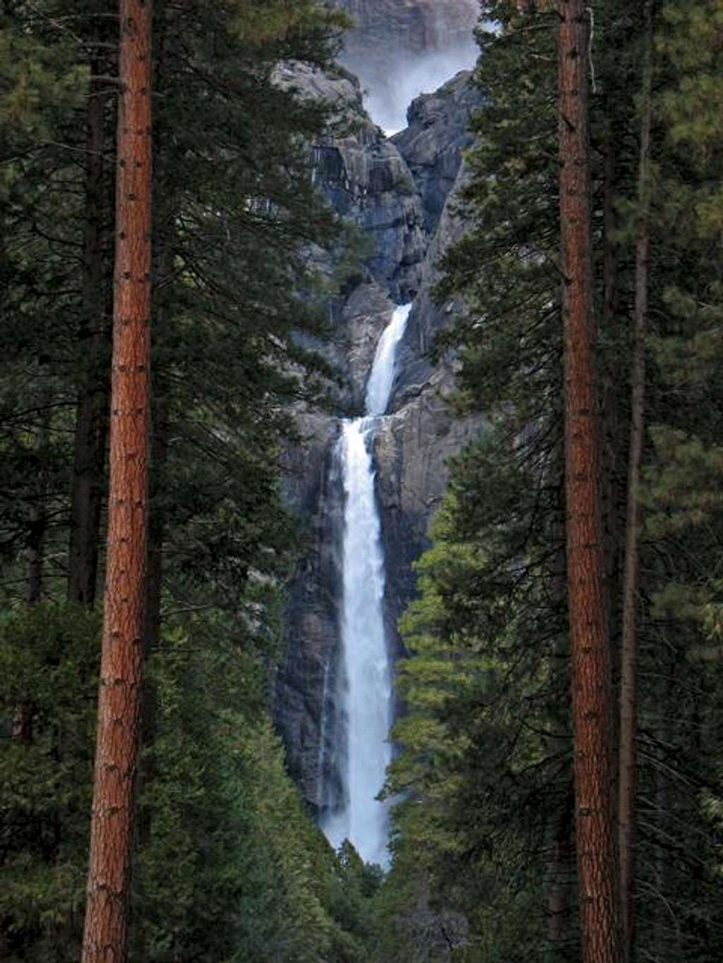 Yosemite Falls and Sequoias