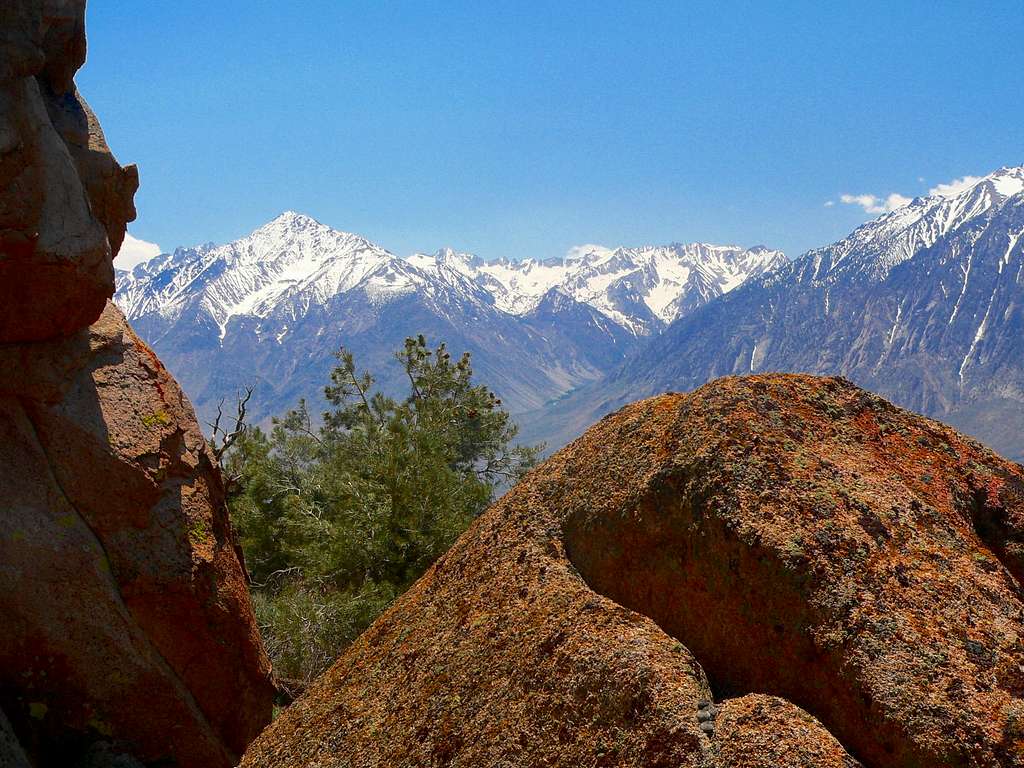 Mt. Tom and the Wheeler Crest from Casa Diablo Mtn.