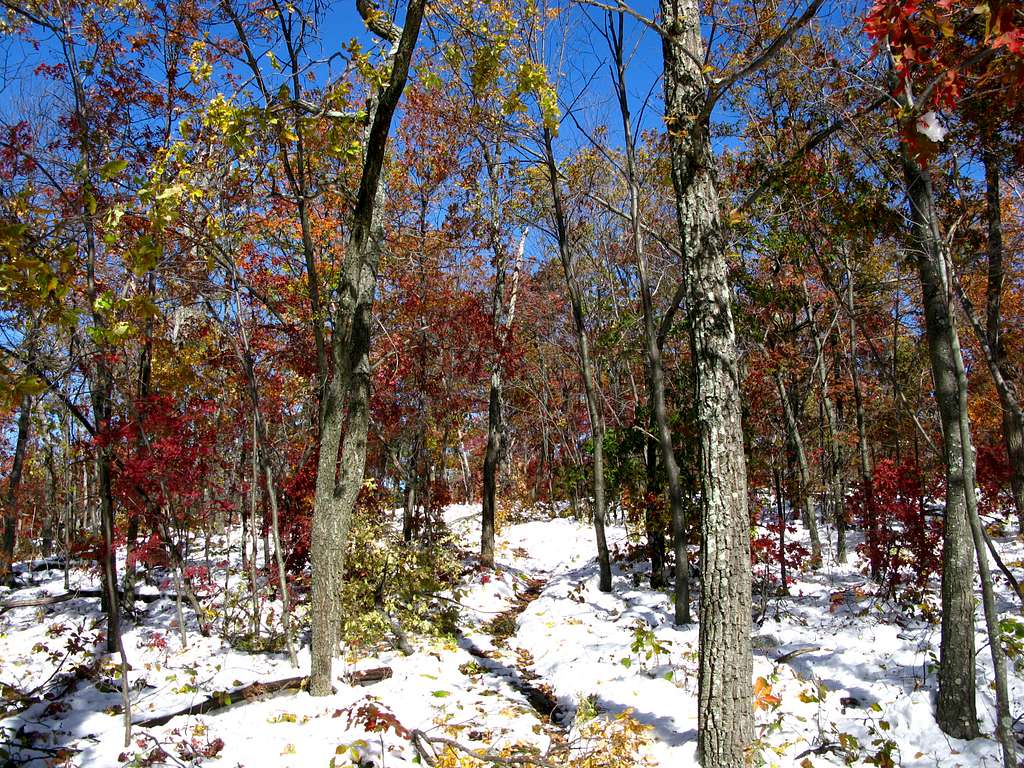 such color on the Monument trail up to High Point