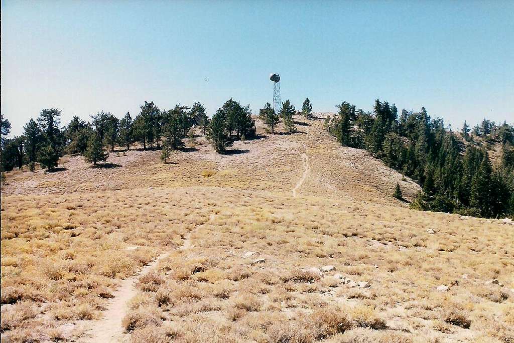 Summit of Pinos