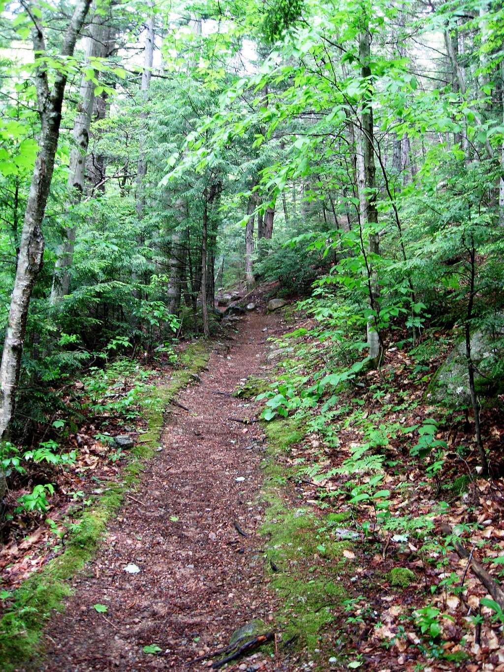 Davis Path up to Mount Crawford
