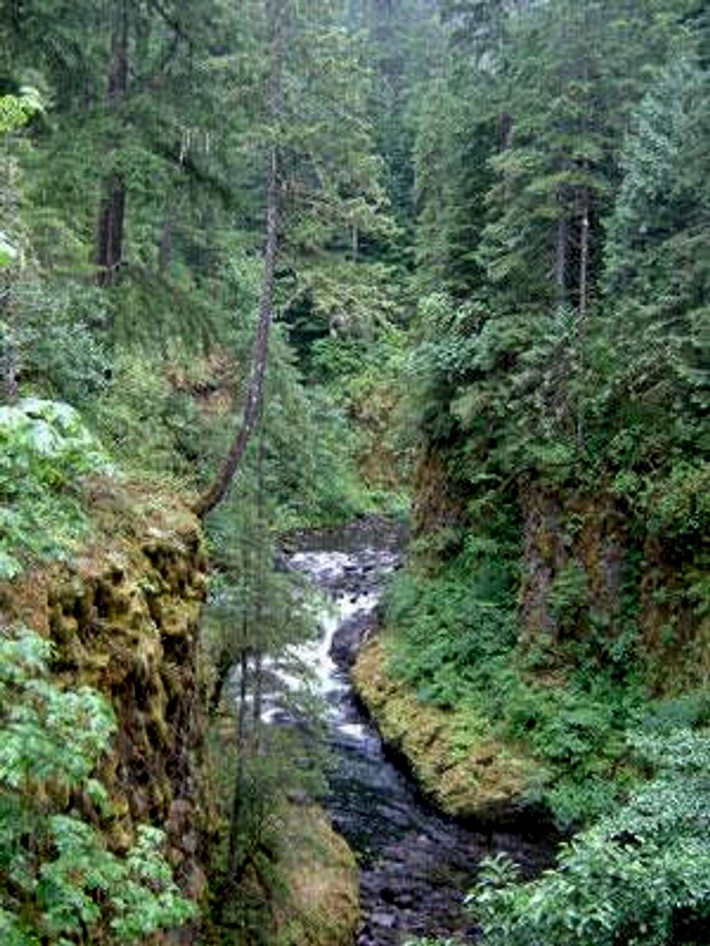 Eagle Creek Trail
