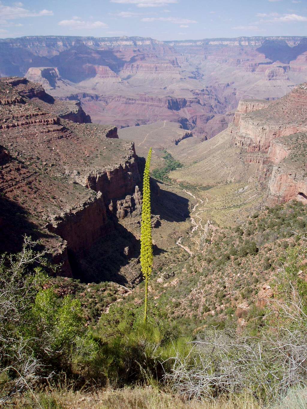 Grand Canyon