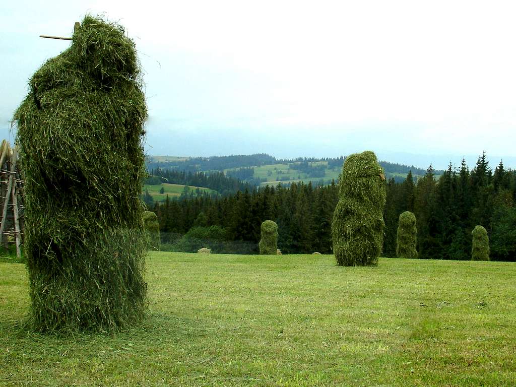 Tall Haystack