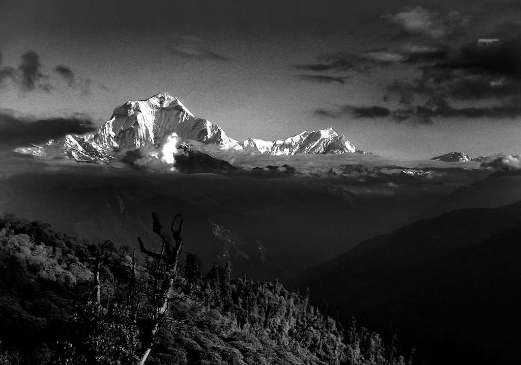 Dhaulagiri I